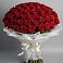 Букет 101 Красная роза Блэк Мэджик в Домне