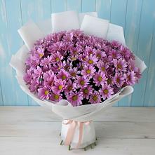 Букет цветов из:  Хризантемы в Домне