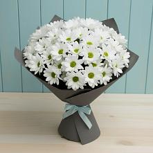 Букет цветов из:  Хризантемы #REPLACE_PRED# Домне