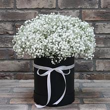 Цветочная композиция из Гипсофила в шляпной коробке #REPLACE_PRED# Домне