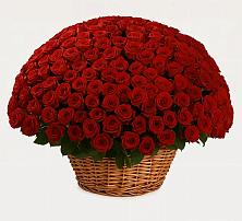 Премиум букет из: Розы в Домне